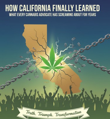 california weed industry lessons